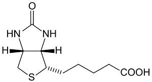 5-(2-Oxo-hexahydro-thieno[3,4-d]imidazol-6-yl)-pentanoic acid; D-Biotin Structure, CAS # 58-85-5
