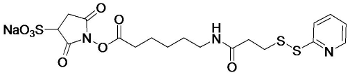 Sulfosuccinimidyl 6-(3'-[2-pyridyldithio]-propionamido)hexanoate, SULFO-LC-SPDP Crosslinking Reagent Image, CAS # n/a